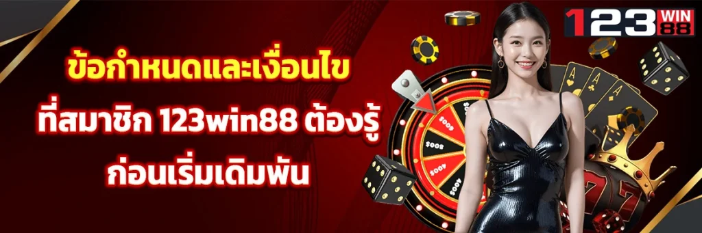 ข้อกำหนดและเงื่อนไข